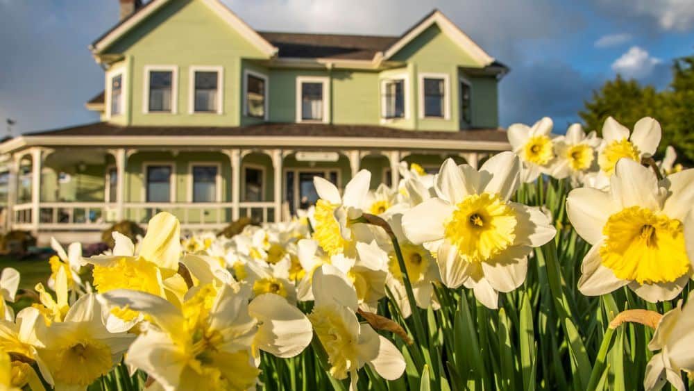 Getaway from Seattle to Lopez Island this spring